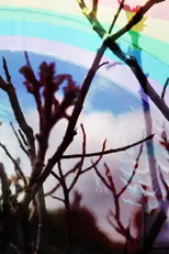 ROYGBIV (ROYGBIV)