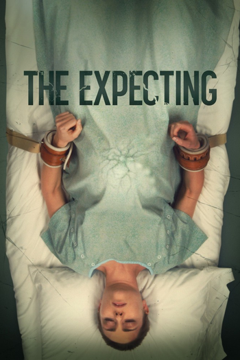 Poster de Franquia The Expecting (2020)