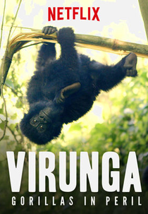 Virunga: Gorillas in Peril (Virunga: Gorillas in Peril)