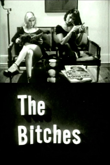 Poster de Curta The Bitches (1992)