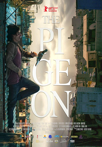 O Pombo - Um Refúgio para Sobreviver (Güvercin)