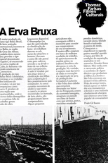 Erva Bruxa (Erva Bruxa)