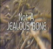Not a Jealous Bone