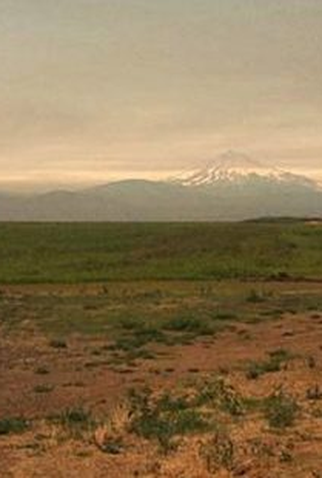 Poster 1 de Filme L. Cohen (2018)