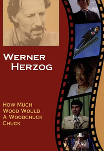 How Much Wood Would a Woodchuck Chuck (Beobachtungen zu einer neuen Sprache)