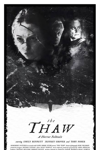 Poster de Filme The Thaw (2023)