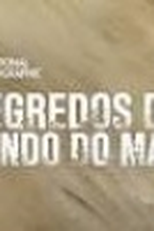 Segredos do Fundo do Mar (4ª Temporada) (Drain the Oceans (#4 Season))