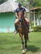 Wenner