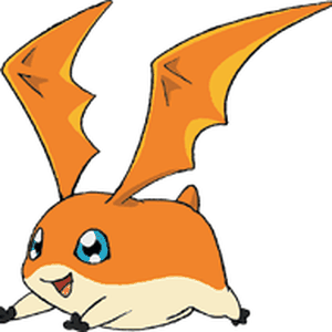 Foto de perfil de Renato