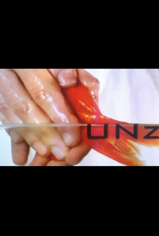 Poster 1 de Curta UNz (2009)