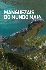Manguezais do Mundo Maia (Manguezais do Mundo Maia)