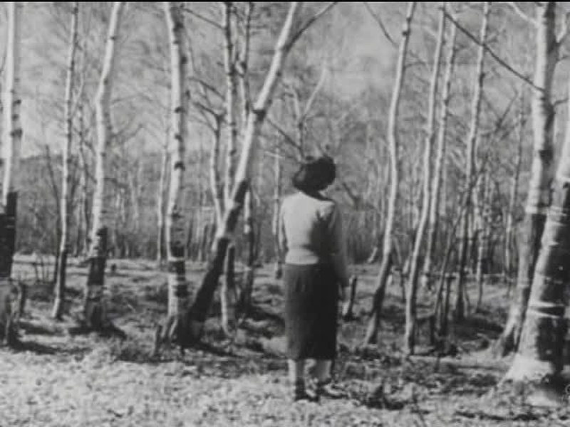 Foto 1 de Dispersed Clouds