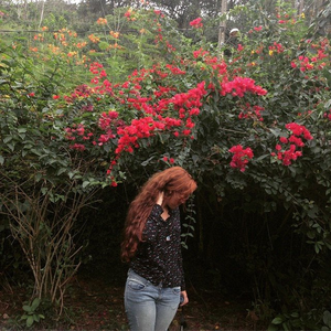 Foto de perfil de Amanda