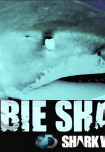 Tubarão Zumbi: O Fenomeno (Zombie Sharks)