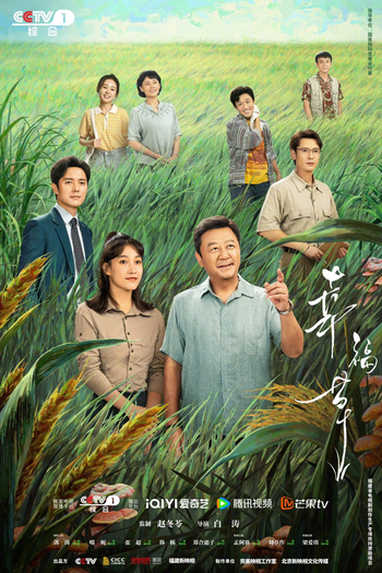 Poster de Série Happiness Jun Cao (2024)