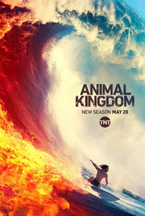 Animal Kingdom (4ª Temporada) - Poster / Capa / Cartaz - Oficial 1