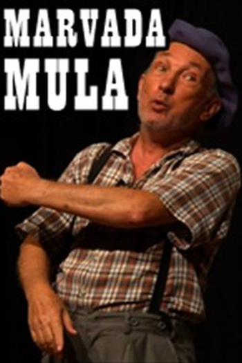 Poster de Filme Marvada Mula (2010)