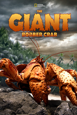 Ilha Christmas: O Reino do Caranguejo-Ladrão (The Giant Robber Crab)