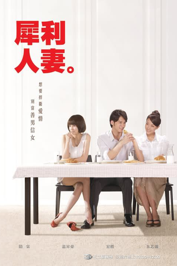 Poster de Série The Fierce Wife  (2010)