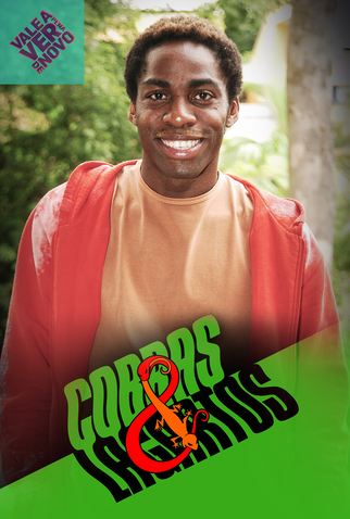 Poster 5 de TV Cobras e Lagartos (2006)