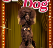 Haute Dog