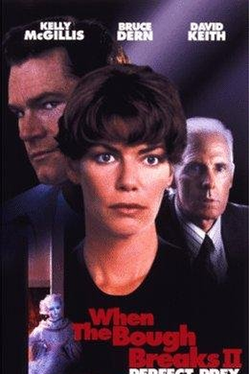 Poster de Filme Vítima Perfeita (1998)