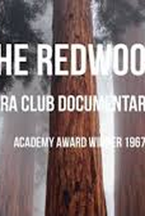 The Redwoods - Poster / Capa / Cartaz - Oficial 2
