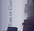Flor de Cemitério