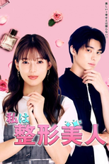 私は整形美人 (私は整形美人)