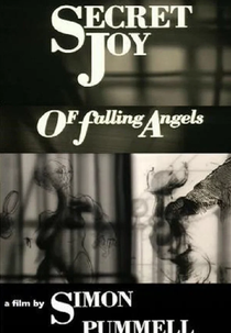 The Secret Joy of Falling Angels (The Secret Joy of Falling Angels)