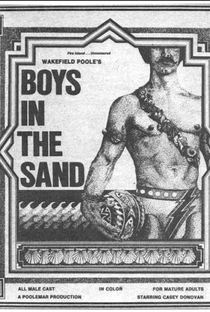 Boys in the Sand II - Poster / Capa / Cartaz - Oficial 3
