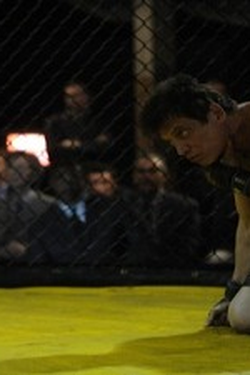 Poster de Episódio Bolo Punch (2011)