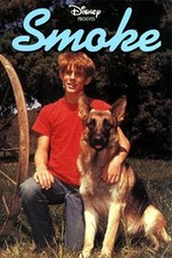 Poster de Filme Um Cão de Mil Donos (1970)