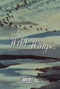 Wild Wings - Poster / Capa / Cartaz - Oficial 1