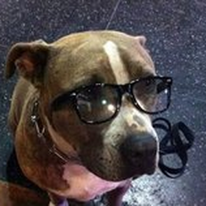 Foto de perfil de Renan Lacerda