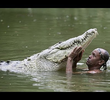 O Homem Que Nada com Crocodilos