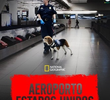Aeroporto: Estados Unidos (3ª Temporada)
