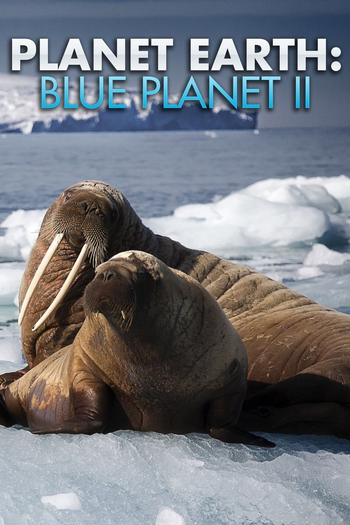  de Série Planeta Azul II (2017)
