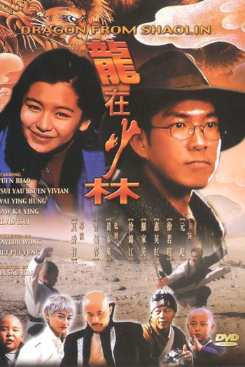 Poster de Filme Dragon From Shaolin (1996)