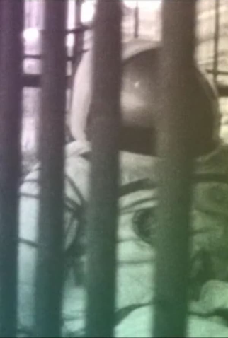 Poster 1 de Curta Na Boa Terra (2011)