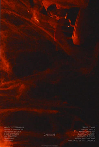 Poster 1 de Filme Caliovas (2022)