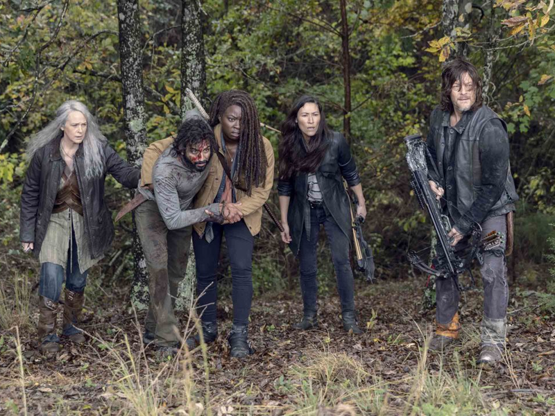 Foto 12 de The Walking Dead (9ª Temporada)