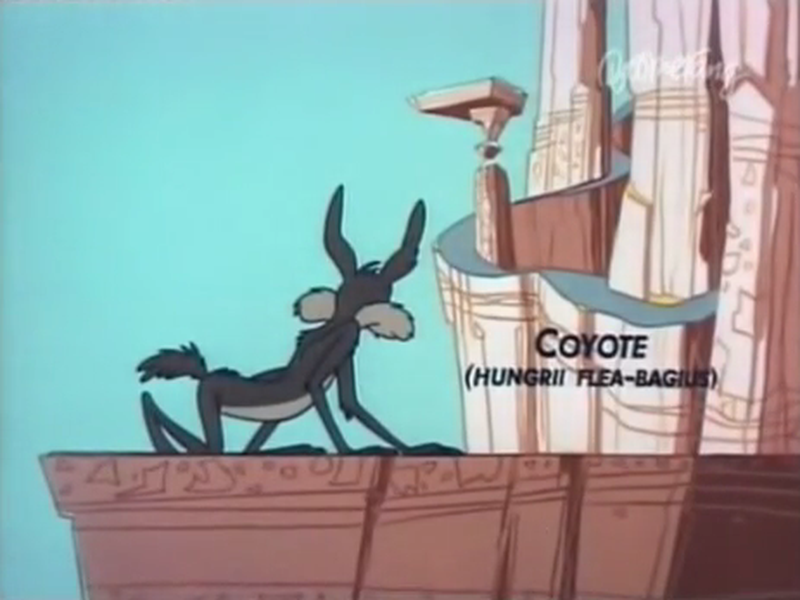 Foto 4 de Beep Prepared