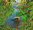 Casa Flutuante