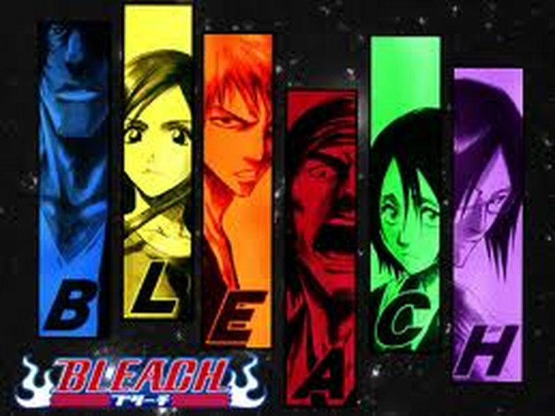 Foto 3 de Bleach (12ª Temporada)