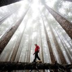 Foto de perfil de Patrícia