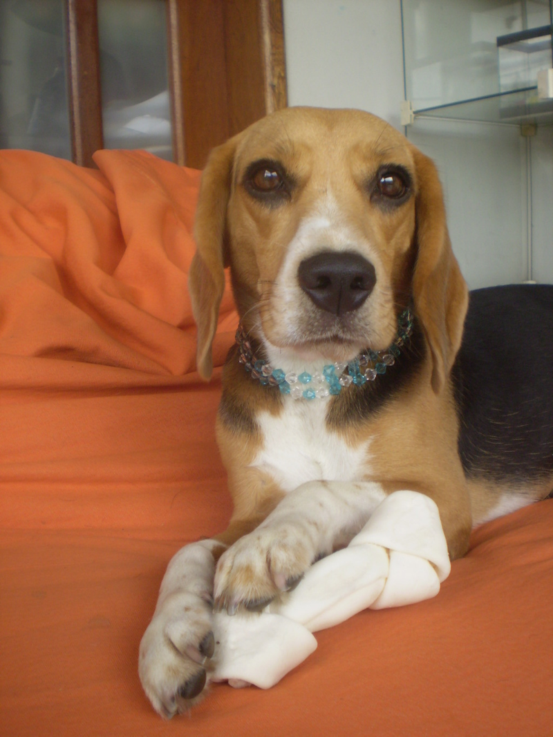 Cristina - Foto 2