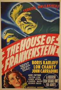 A Casa de Frankenstein - Poster / Capa / Cartaz - Oficial 9