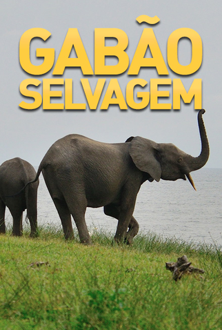 Poster 1 de Série Gabão Selvagem (2014)