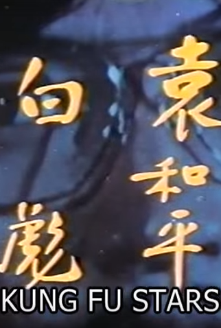 Poster 2 de Filme Kung Fu Stars (1978)